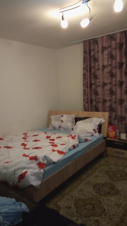 Central Apartment 2 Timisoara Esterno foto