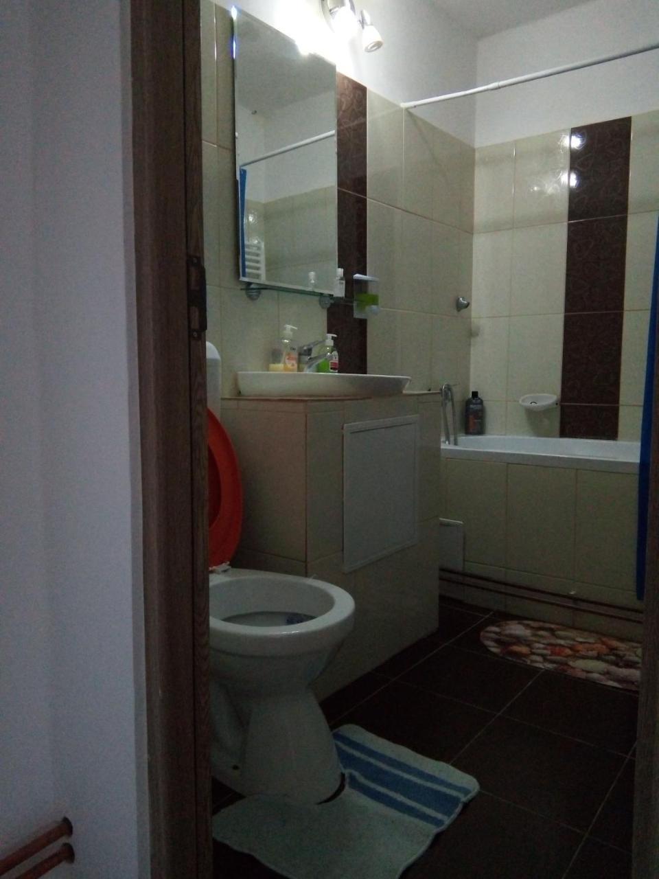 Central Apartment 2 Timisoara Esterno foto